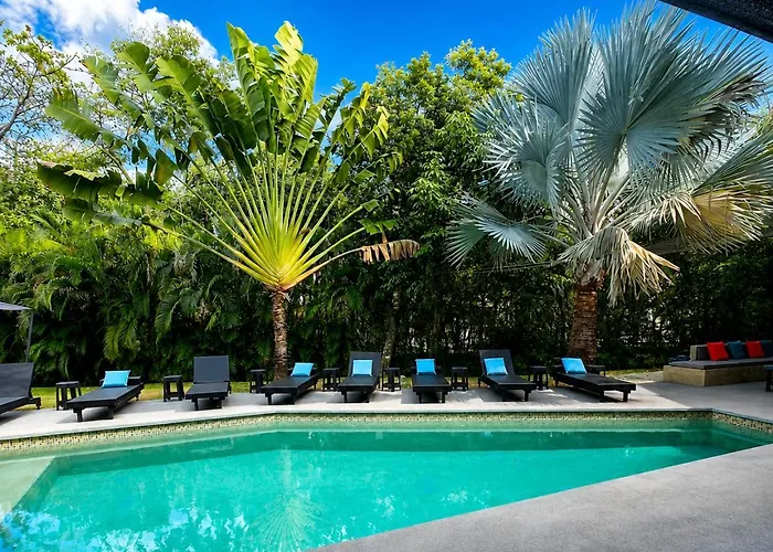 Célèbre Venus Playacar - 24 Pax Playa del Carmen